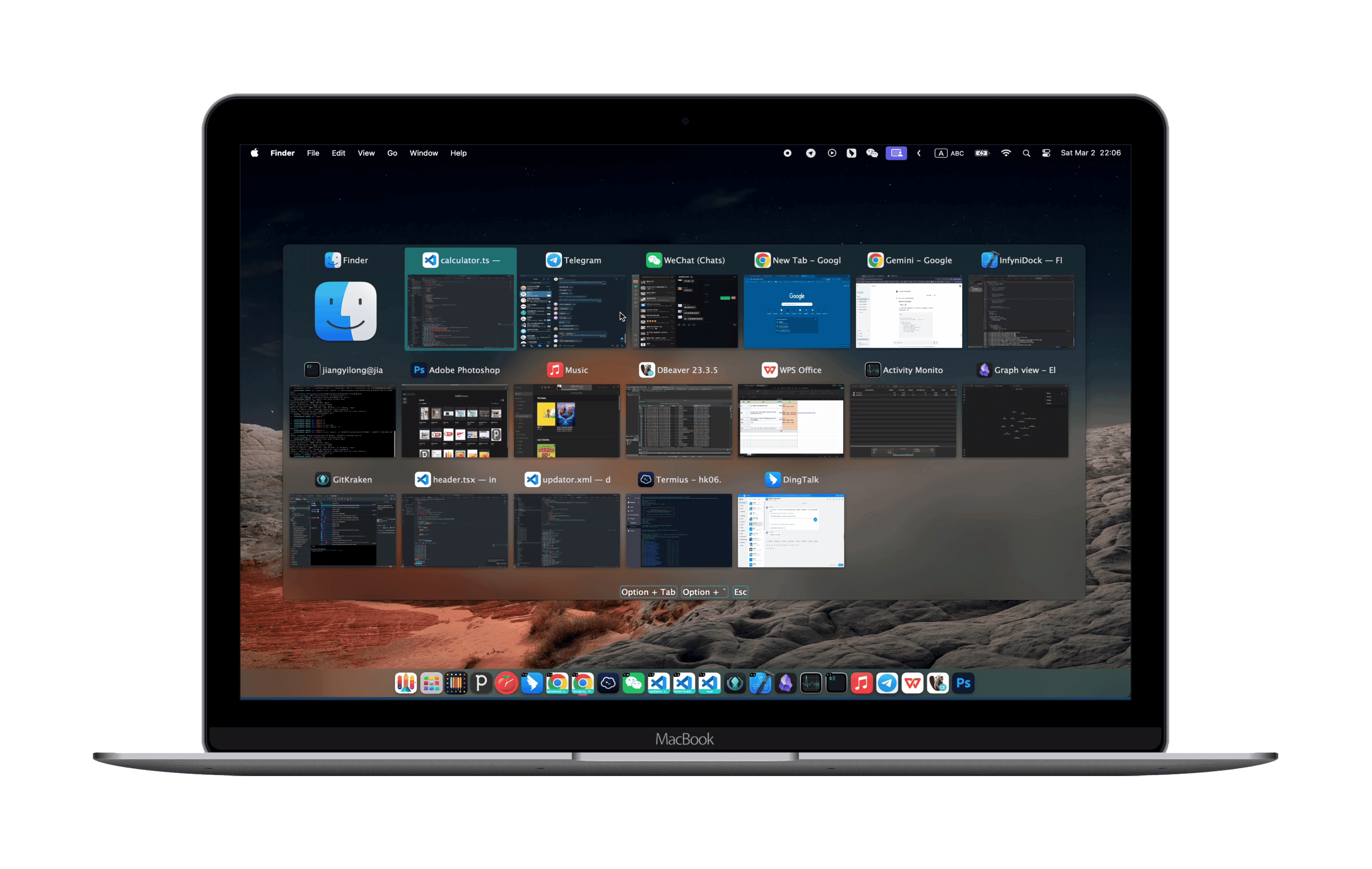 InfyniDock Preview